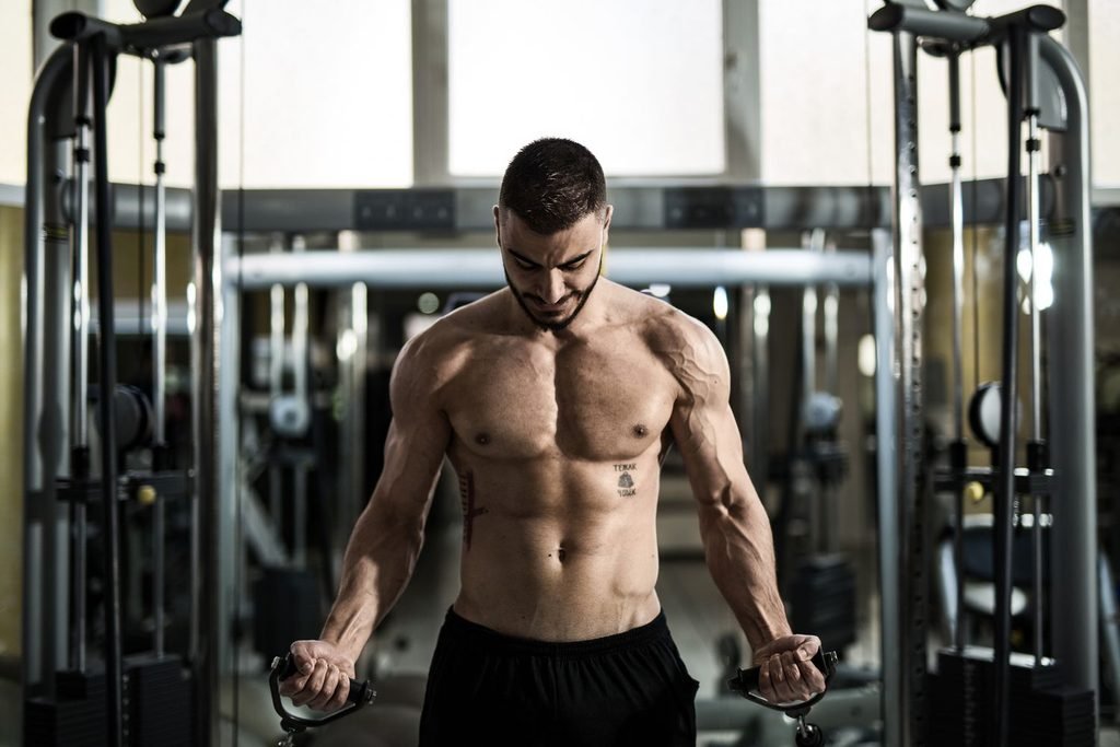 muscle protein synthesis research